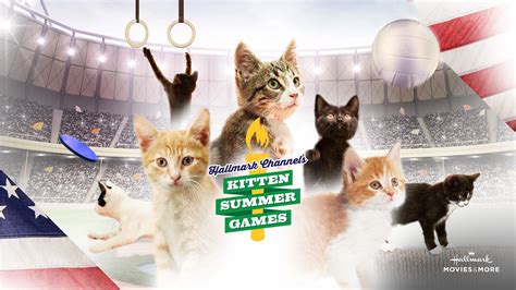 Kitten Summer Games 2016 Backdrops — The Movie Database Tmdb