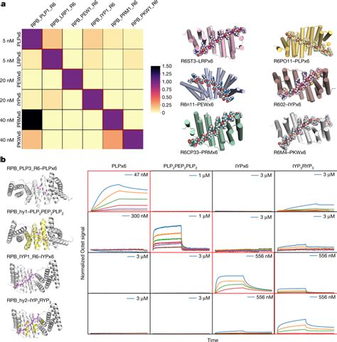 Designed Proteinpeptide Interaction Specificity A Left To Assess The