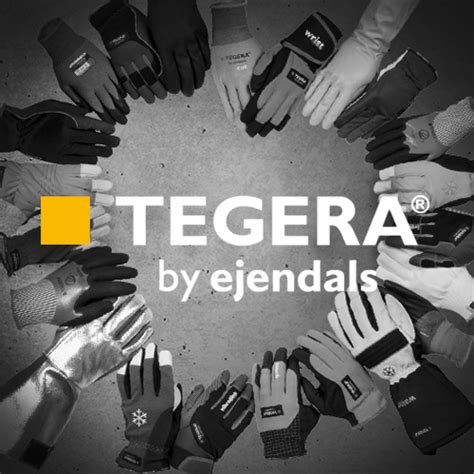 Strategic Design For Ejendals Tegera The Makery Ab