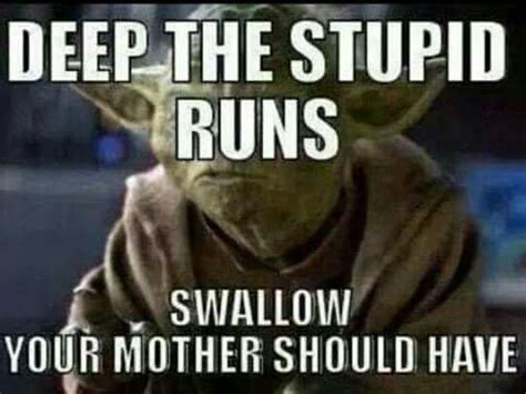 Pin By Kayleen Diane On Yoda Memes Funny Quotes Humor