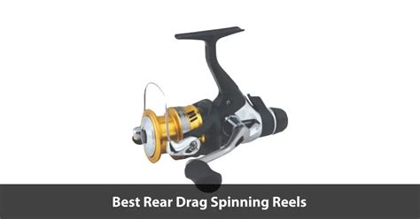 Best Rear Drag Spinning Reels Buyers Guide 2024 Fishing Papa