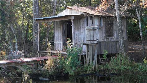 Jean Lafitte Swamp & Bayou Boat Tour from New Orleans