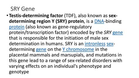 Sry Gene Testis Determining Factor Tdf Also Known As Sex