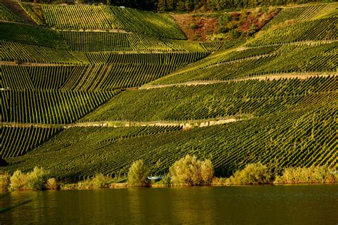 L1000188 Mosel Stefan Naij Flickr