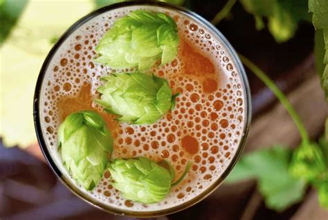 Amarillo Hops Guide: Everything You Need to Know - Beertannica