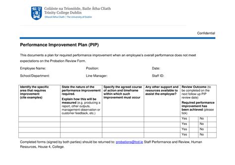 Employee Performance Action Plan Template