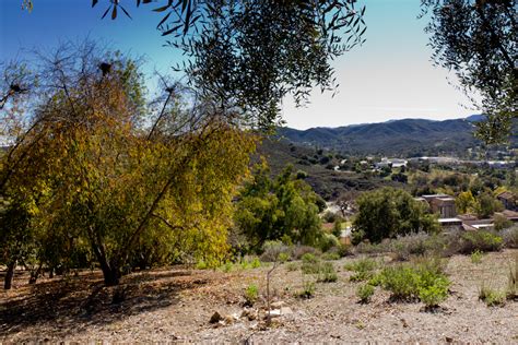 Thousand Oaks California Trees Among Arid Landscape At Thousand Oaks