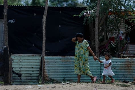 Más de 27 mil familias wayuu ingresarán al programa Renta Ciudadana