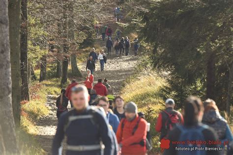 Galeria T Umy Na Szlakach Na Szyndzielni I Klimczok Widoki