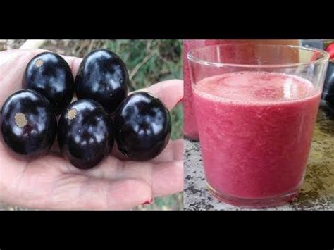 Conoces está increíble esta fruta y sus Beneficios Jabuticaba y sus