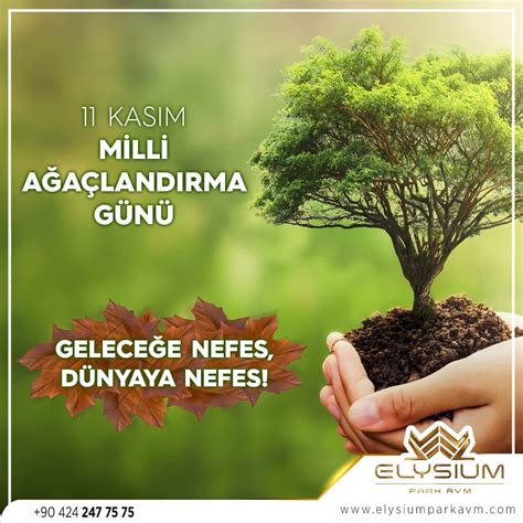 Kas M Milli A A Land Rma G N Elysium Park Avm