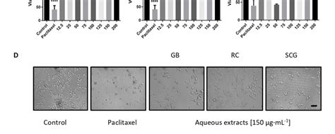 In Vitro Antiproliferative Activity And Morphological Changes Caused By