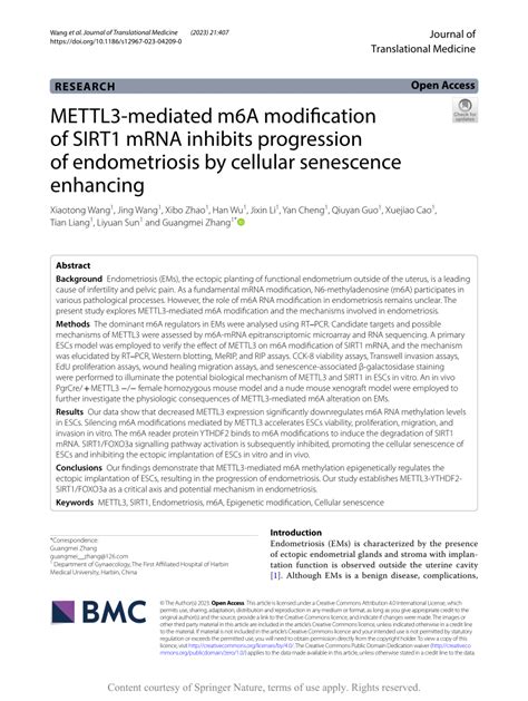 PDF METTL3 Mediated M6A Modification Of SIRT1 MRNA Inhibits