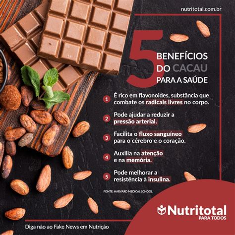 4 Formas De Consumir Cacau No Dia A Dia Nutritotal Para Todos