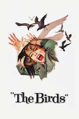 The Birds Filming Locations