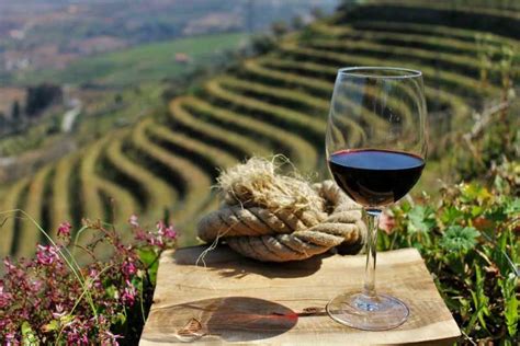 Porto: Douro Valley Wine Tour with Lunch | GetYourGuide