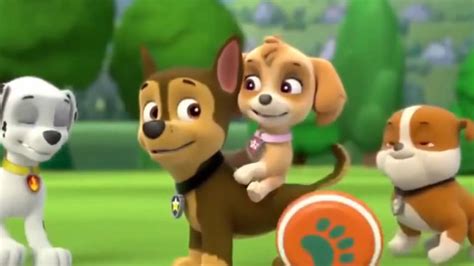 Chase X Skye Paw Patrol Animated Couples Photo Fanpop 6095 Hot Sex Picture