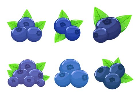 Blueberry Cartoon Vector Art, Icons, and Graphics for Free Download