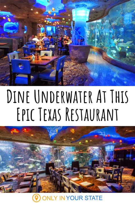 Restaurants Near Texas State Aquarium - BNEARW