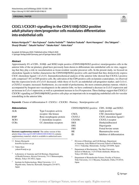 Cx3cl1cx3cr1 Signalling In The Cd9s100βsox2 Positive Adult Pituitary