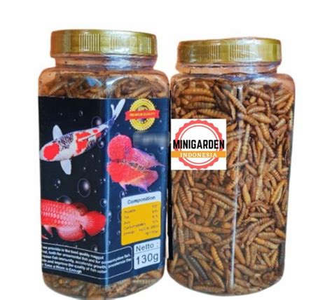 Dry Maggot Kimo Gram Maggot Kering Premium Magot Bsf Ulat Jerman