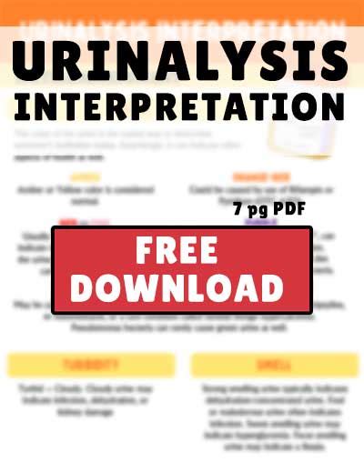 Freebie Urinalysis Interpretation Health And Willness