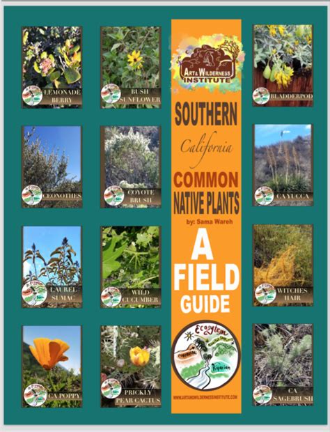 Southern California Native Plant Guide