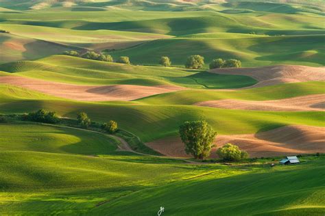 The Hills Of Palouse Palouse Kenai Fjords National Park Death