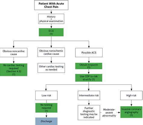 2021 AHA ACC ASE CHEST SAEM SCCT SCMR Guideline For The Evaluation And