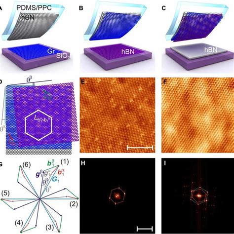 Device Fabrication And Characterization A Step 1 A Thick Hbn Layer Download Scientific