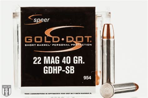 Top 5 Best 22 WMR Ammo Recommended by Experts