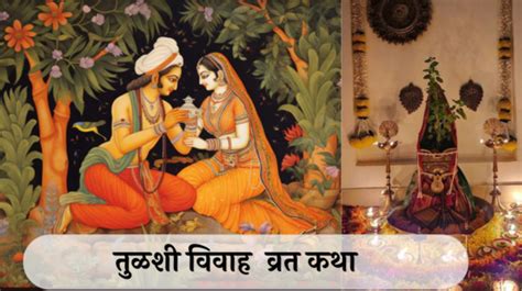 Tulsi Vivah 2024 Tulsi Vivah Puja Vidhi And Sahitya तुळशी विवाह