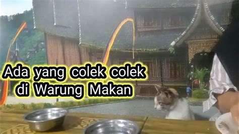 Bikini Penasaran Ada Yang Colek Colek Lagi Asik YouTube