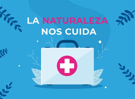 Medio Ambiente Y Salud Una Relación Vital Fundación Aquae