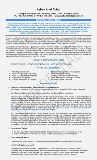 AYHAM ABIAD CV PDF