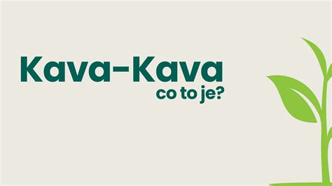 Kava Kava A Jak M Inky Co To Je Zenforlife