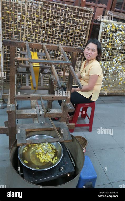 At The Silk Factory In Hoi An City In Vietnam They Raise Worms Who