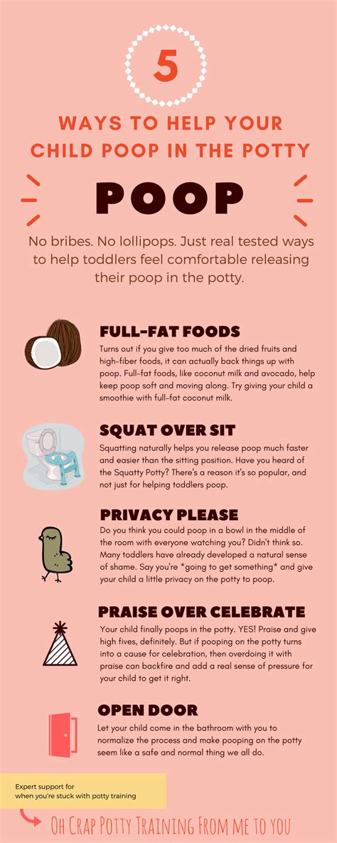 Potty Training Poop Tips For Toddlers