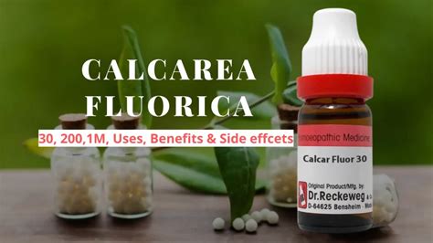 Calcarea Fluorica 30 200 Q Uses Benefits Side Effects