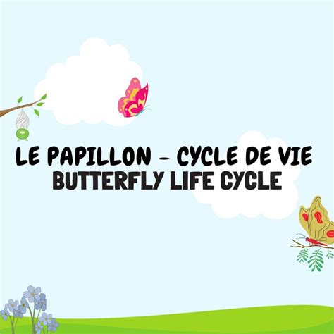 The Words Le Papillon Cycle De Vie Butterfly Life Cycle Are Written