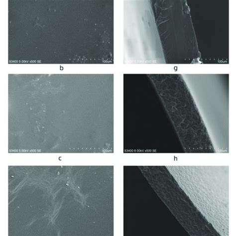 Sem Image Of The Surface And Cross Section Of Films A E Surfaces Of