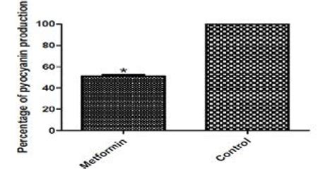 Pyocyanin Production In PAO1 Untreated Left And Metformin Treated