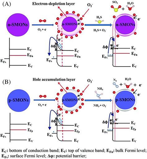 Gas Sensing Mechanism Of A N And B Ptype Semiconducting Metal