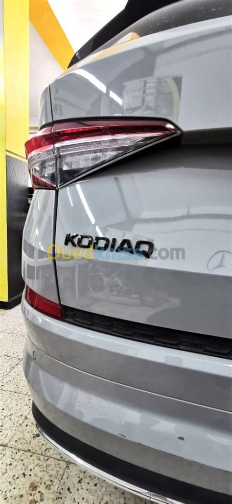 SKODA KODIAQ 2022 DESACTIVATION ADBLUE FAP EGR Alger Douera Ouedkniss