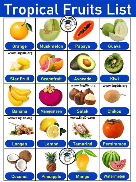 List of Tropical Fruits in English with Pictures & PDF – EngDic