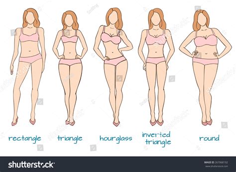 Female Body Types Vector Illustration Royalty Free Stock Vector