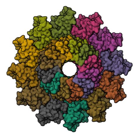 RCSB PDB 3JA7 Cryo EM Structure Of The Bacteriophage T4 Portal