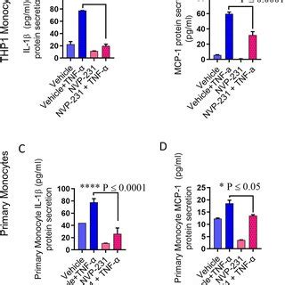 Schematic Illustration Of The Role Of Nsmase In Tnf Mediated