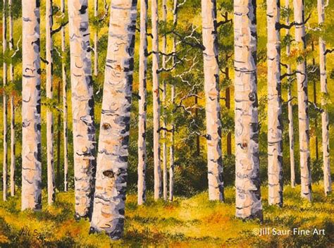 Aspen Tree Paintings