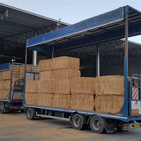 Coltivazione E Produzione Foraggi Spedizione Balloni Fieno Grano Erba